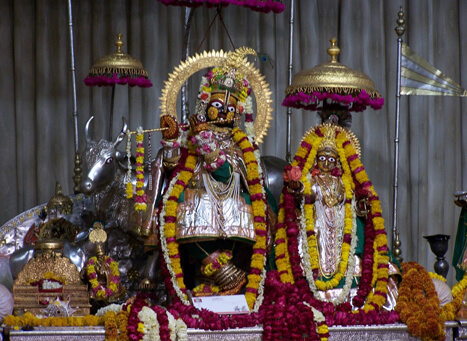 Jaipur Sightseeing Tour Package